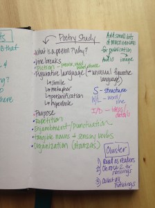 Brain dump for a poetry study