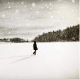 Screen Shot 2017-05-13 at 11.15.13 PM.png