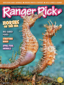 Screen Shot 2017-10-15 at 3.00.06 PM