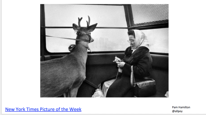 Screen Shot 2018-05-15 at 3.05.02 PM