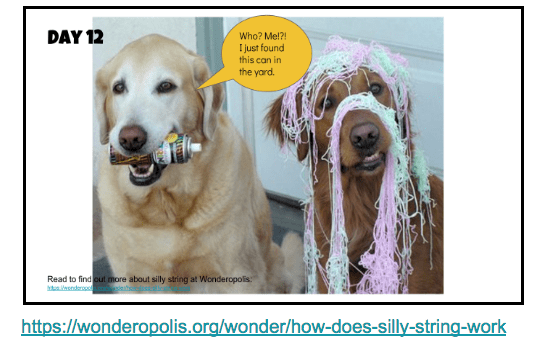 Screen Shot 2018-06-13 at 8.16.00 AM.png